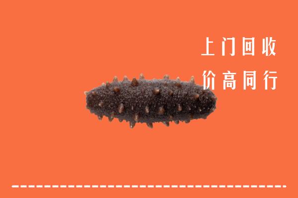 高价求购：昆明市五华区回收海参