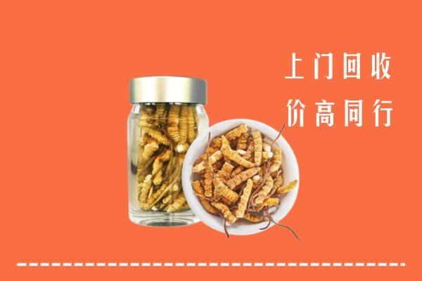昆明市五华区回收冬虫夏草