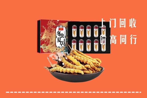 昆明市五华区回收虫草
